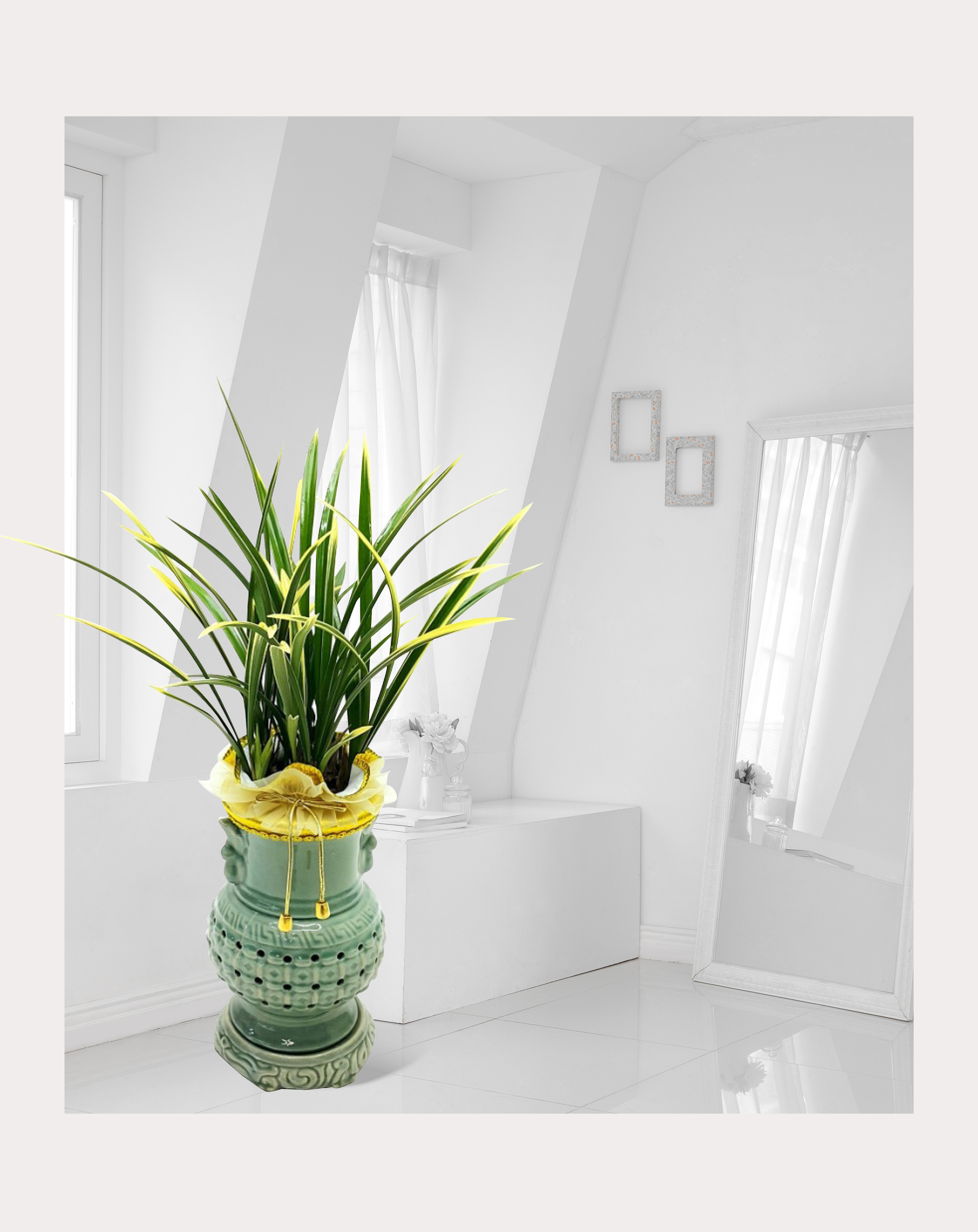 동양란 태양금 투각분 개업 이전 취임 승진 개업식 축하 화분 화환 예도 전국 꽃배달 서비스