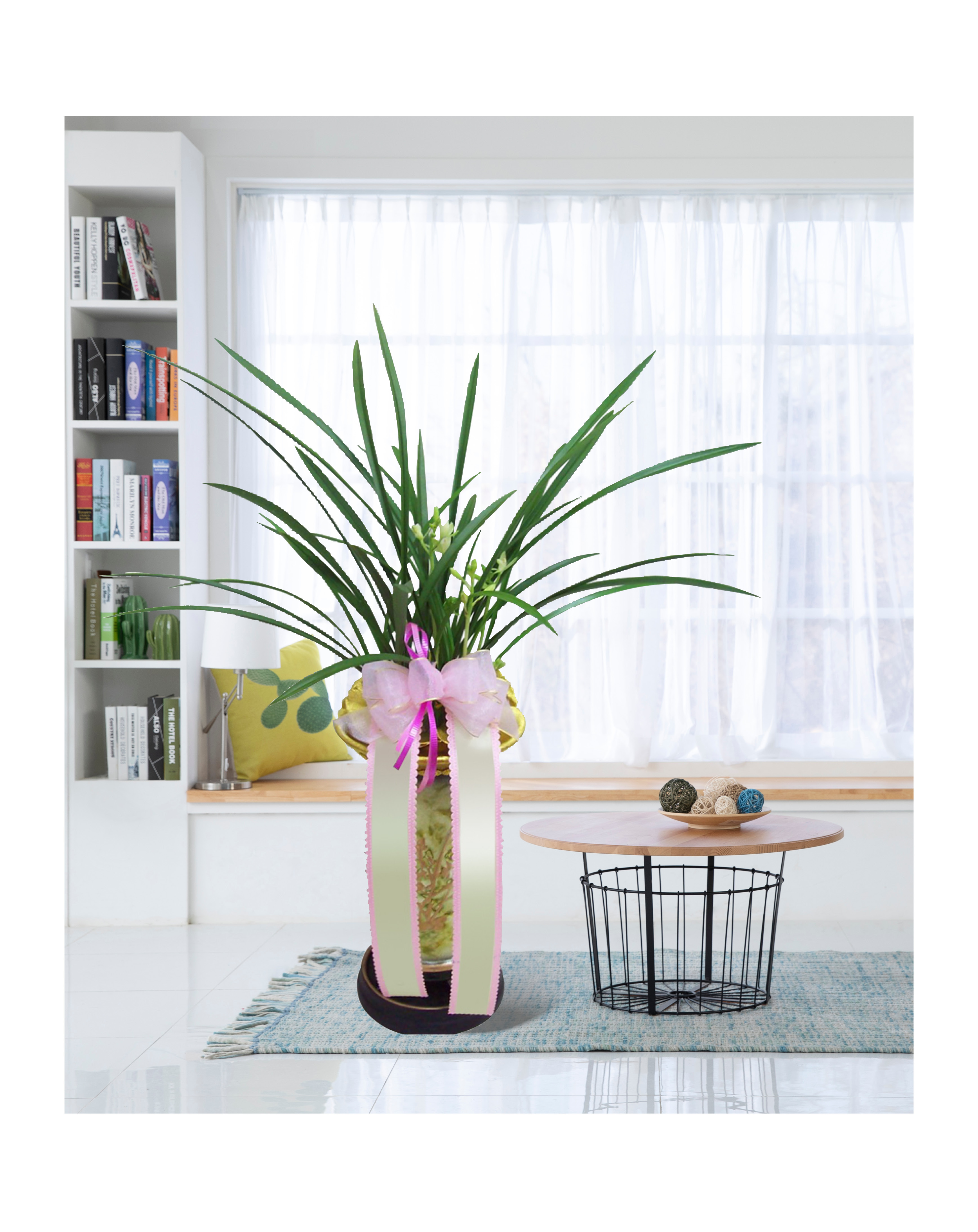 동양란 철골소심 개업 이전 취임 승진 개업식 축하 화분 예도화환 전국 꽃배달 서비스