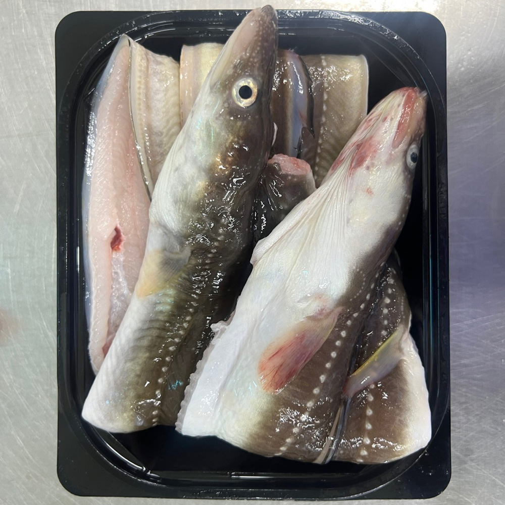 생물 통영 자연산 손질 바다장어 (700g 내외) / 소스2종 포함(순한맛, 매운맛) - 상세 이미지 2