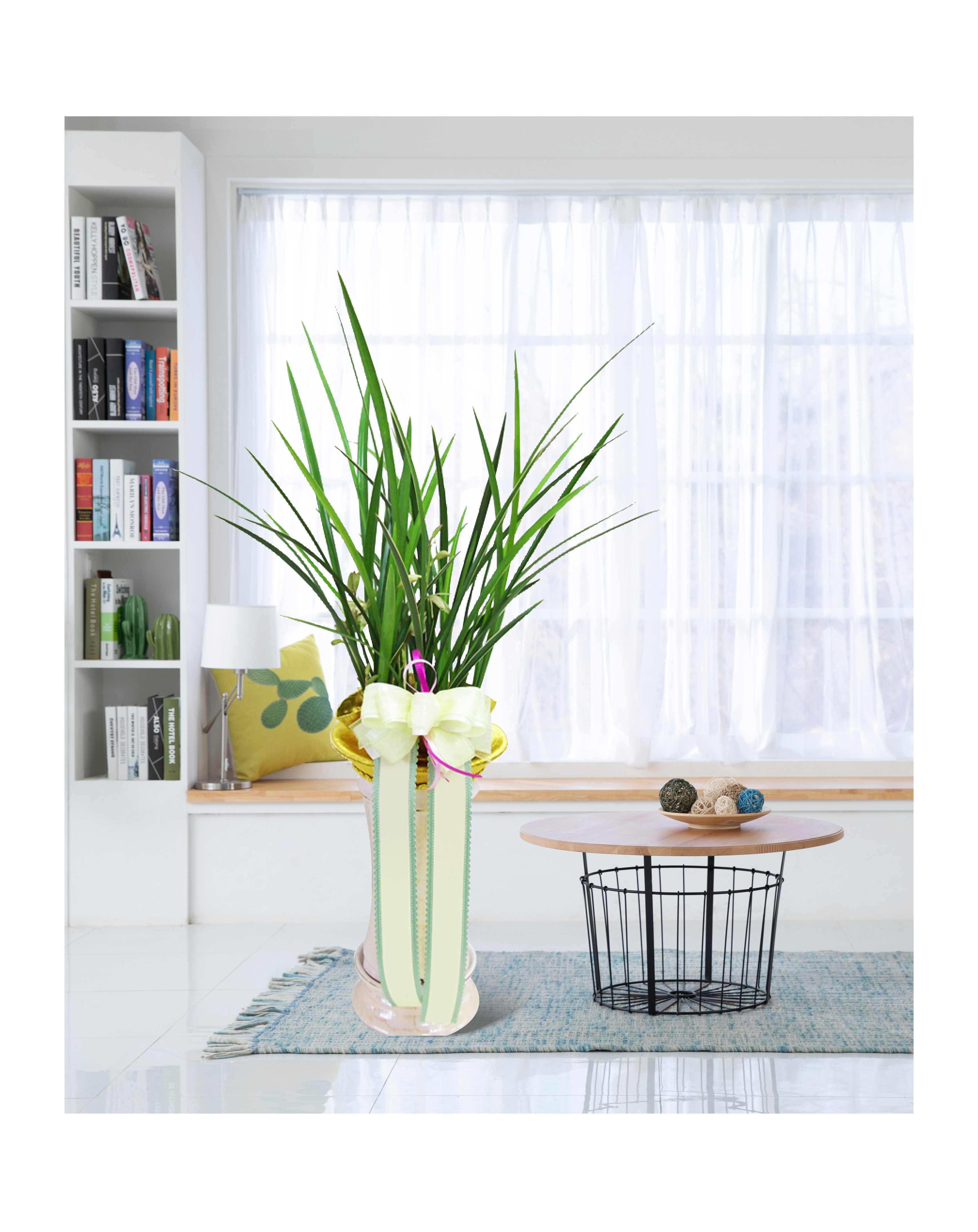 동양란 금침 개업 이전 취임 승진 개업식 축하 화분 예도화환 전국 꽃배달 서비스