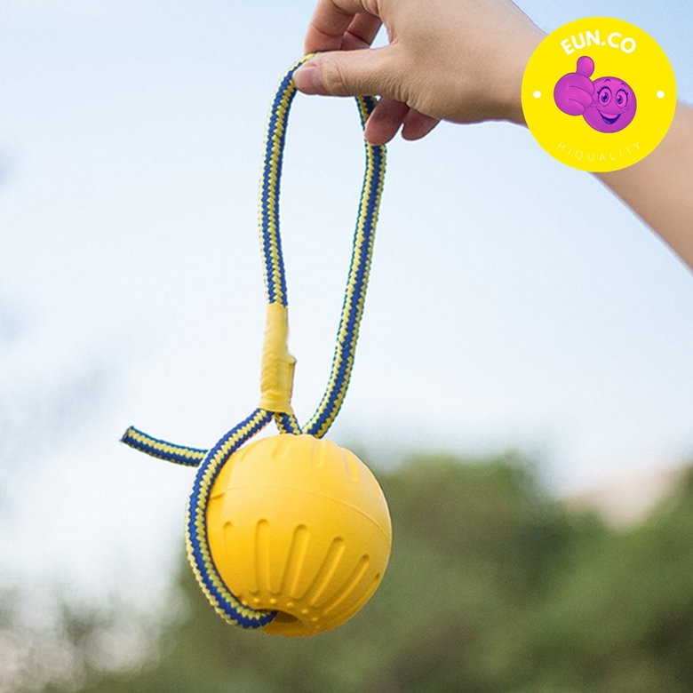 반려동물 훈련 장난감 공 원반 터그놀이 버디볼 소형견 대형견