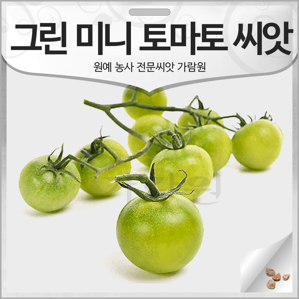 그린 스위트 토마토 씨앗 토마토씨 종자 방울 10알 : 가람원