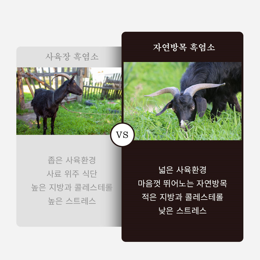 김소형원방 흑염소635 골드 국내산 흑염소 혼합 추출액 95% 30포 이미지 6