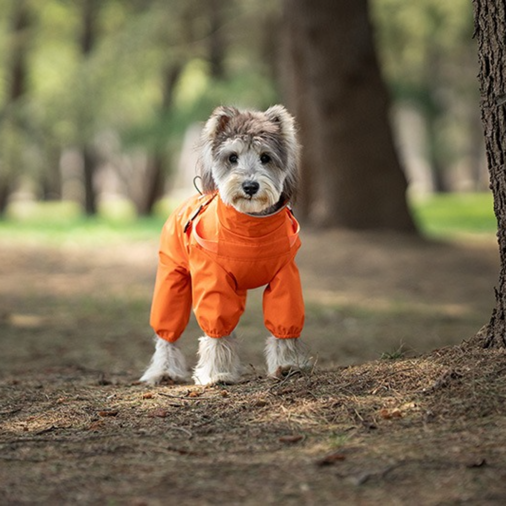 올인원 강아지 우비 바람막이 애견 비옷 레인코트 S - 상세 이미지 5
