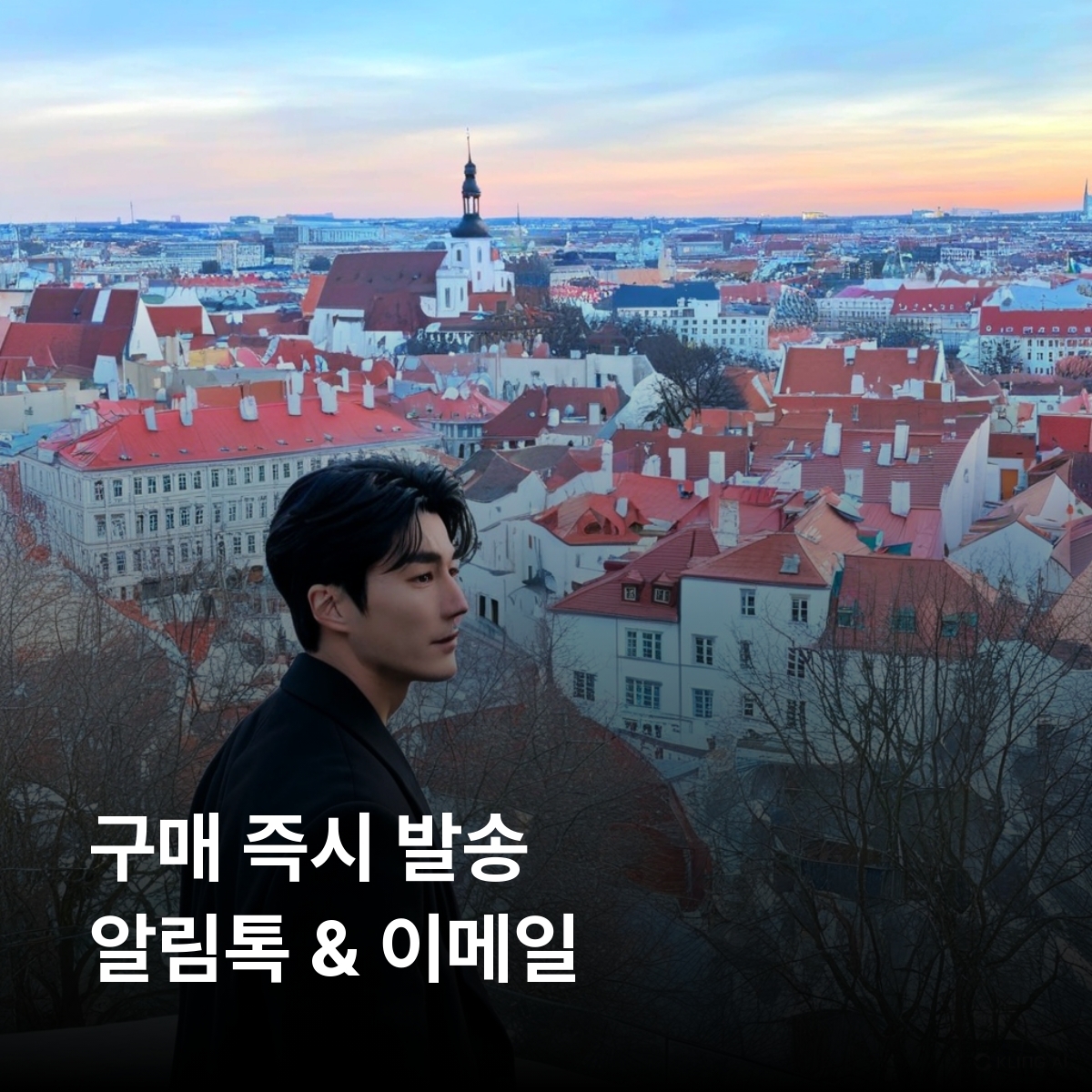 에스토니아 로컬망 이심 eSIM Telia, Tele 2 LTE 탈린 타르투 파르누 나르바 사레마 라헤마 소마 이심통 - 상세 이미지 2
