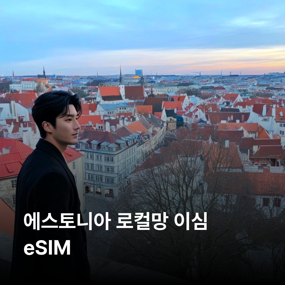 에스토니아 로컬망 이심 eSIM Telia, Tele 2 LTE 탈린 타르투 파르누 나르바 사레마 라헤마 소마 이심통 - 메인 이미지