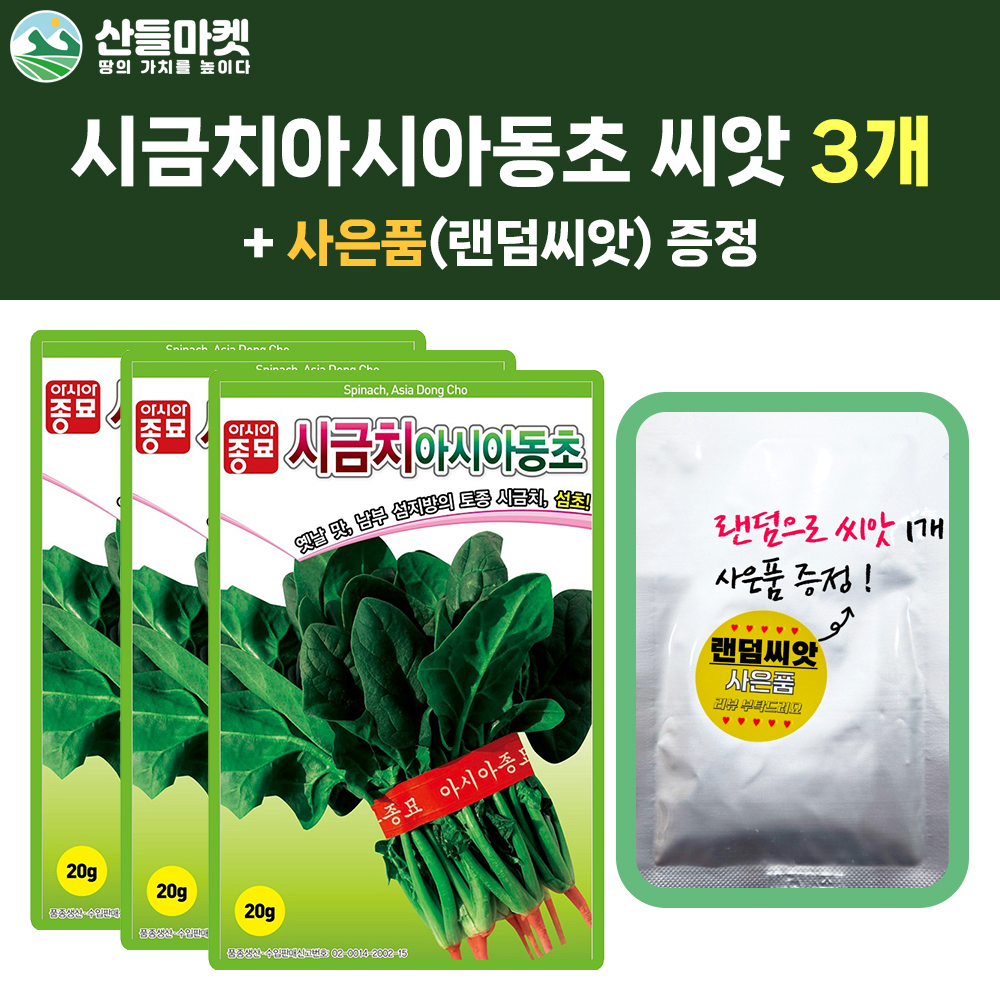 산들마켓 동초 시금치 씨앗 20g 월동재배 토종 시금치씨 종자 3개+랜덤 씨앗 1개 증정 : 산들마켓샵