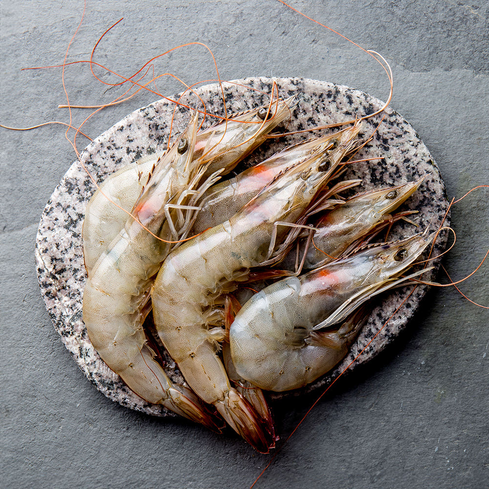 페루새우 2kg 냉동 흰다리새우 에콰도르새우 급냉 대하구이 가격 비교 그램원 페루새우 2kg 냉동 흰다리새우 에콰도르새우 급냉 대하구이