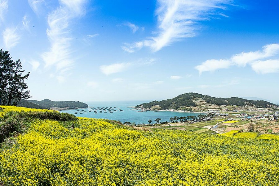 KTX 보길도 청산도 1박 2일 기차여행 패키지 출발확정 두륜산 해남 땅끝마을 모노레일 국내여행 이미지 6