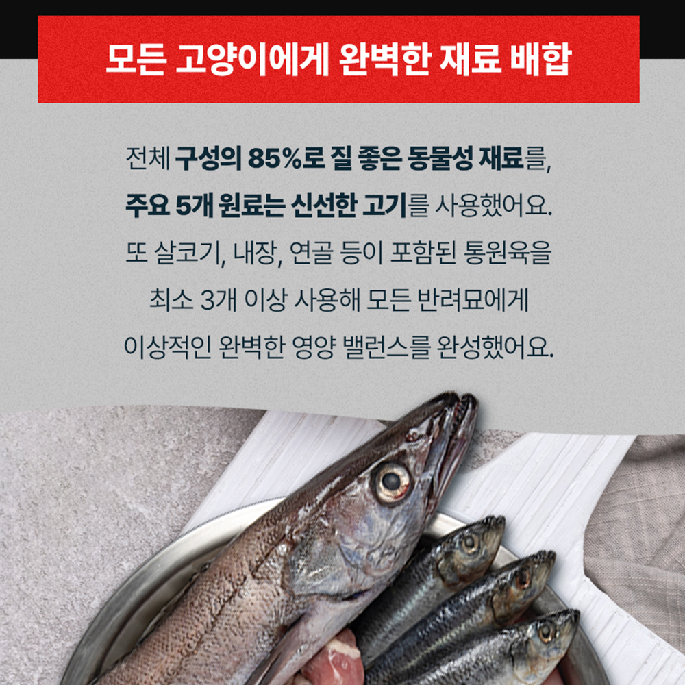 오리젠 오리지널 캣 5.4kg 고양이 사료 - 상세 이미지 5