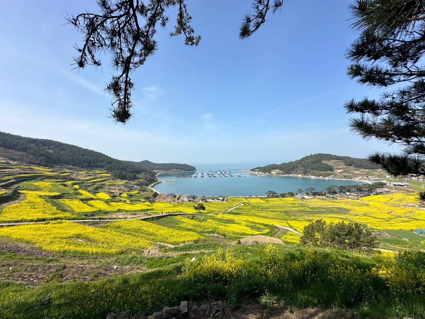 KTX 보길도 청산도 1박 2일 기차여행 패키지 출발확정 두륜산 해남 땅끝마을 모노레일 국내여행 - 상세 이미지 4