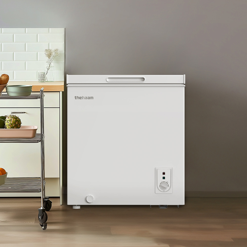 더함 소형 미니 냉동고 스탠드 뚜껑형 냉동고 화이트 66L