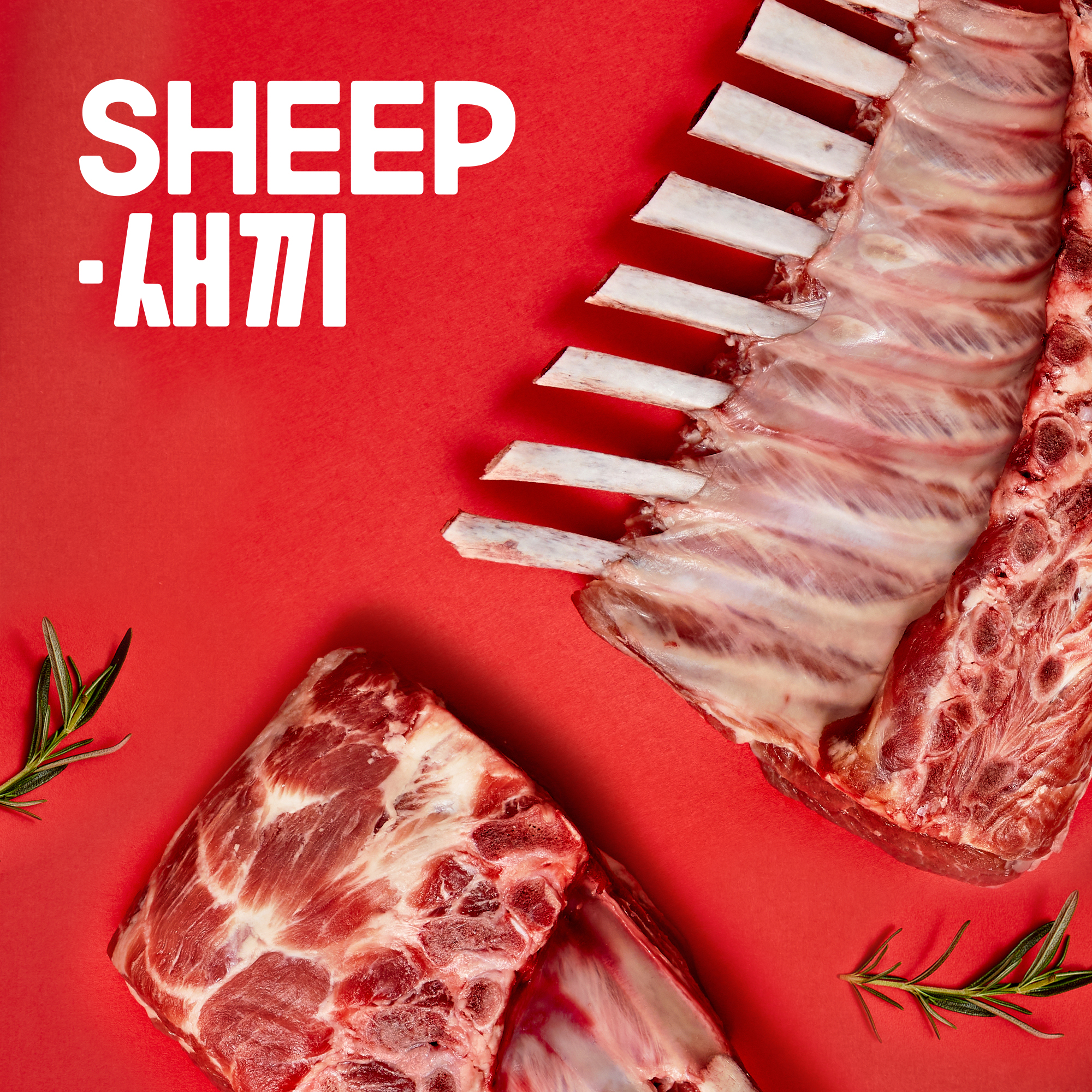 양갈비 통원육(3개월,6개월 숄더랙 프렌치랙 택1)- 양고기 캠핑 토마호크 양갈비 수육 목초육