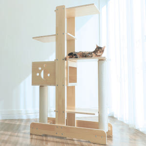 캣츠빌 아쭈타워 5층 스크래쳐 캣폴 원목 고양이 캣타워 발판구성 솔직 후기 | 실제 사용자 리뷰 총정리 - 상품 이미지 4