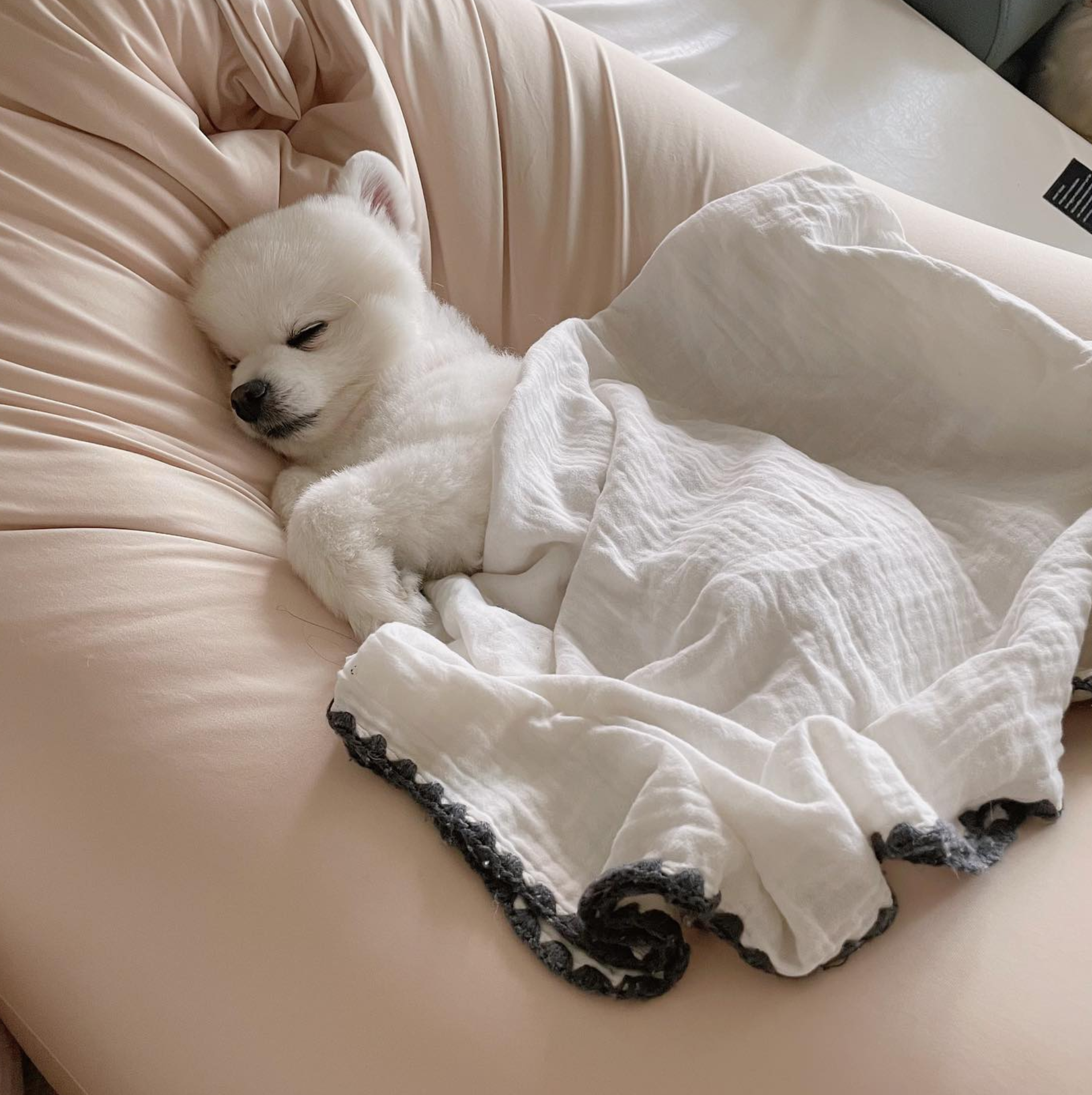 생활특권 100% 국내생산 빈백 1인용 소파 인테리어 대형 빈백