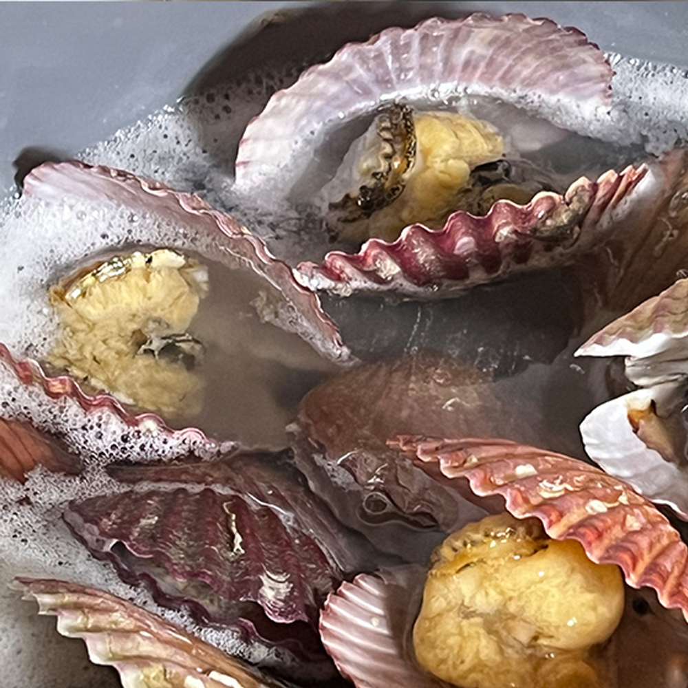 산지직송 국내산 비단 홍가리비 1kg 제철 세척 순살가리비 선별 조개 구이 찜 캠핑 - 상세 이미지 5
