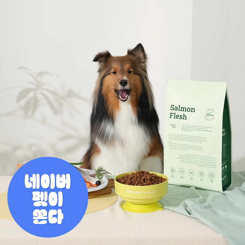 본아페티 플러스 강아지 눈물 눈건강 스팀 저알러지 프리미엄 찐 수제사료 연어, 1kg, 1개