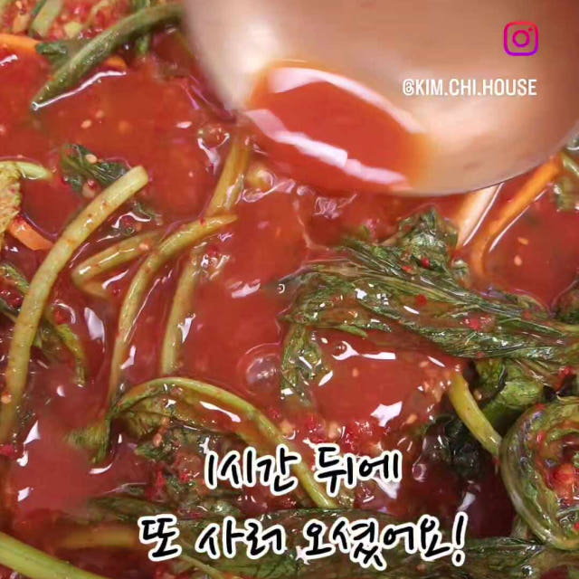 광주에서 줄서요 전라도 열무 김치 1kg 국내산 가정식 수제 김치