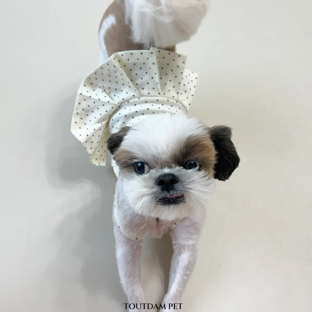 뚜담펫 러블리 스위트 도트 원피스 강아지 고양이 크롭 실내복 - 상세 이미지 2