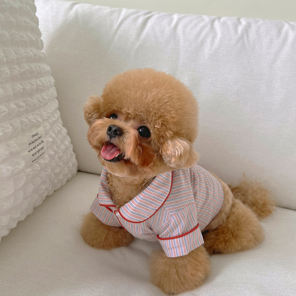 코코조이 스트라이프 강아지잠옷 반려견 펫파자마 2color - 상품 이미지