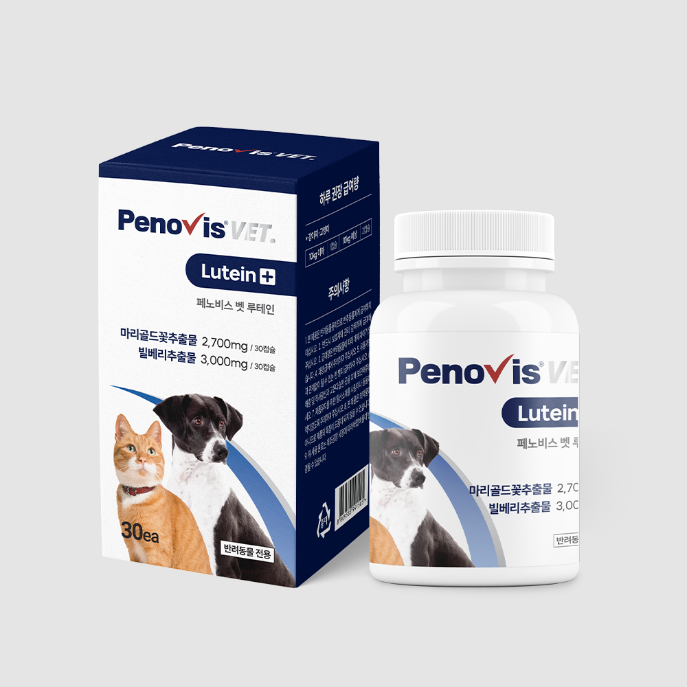 페노비스 고양이 강아지 눈영양제 눈물자국 냄새 항산화 루테인