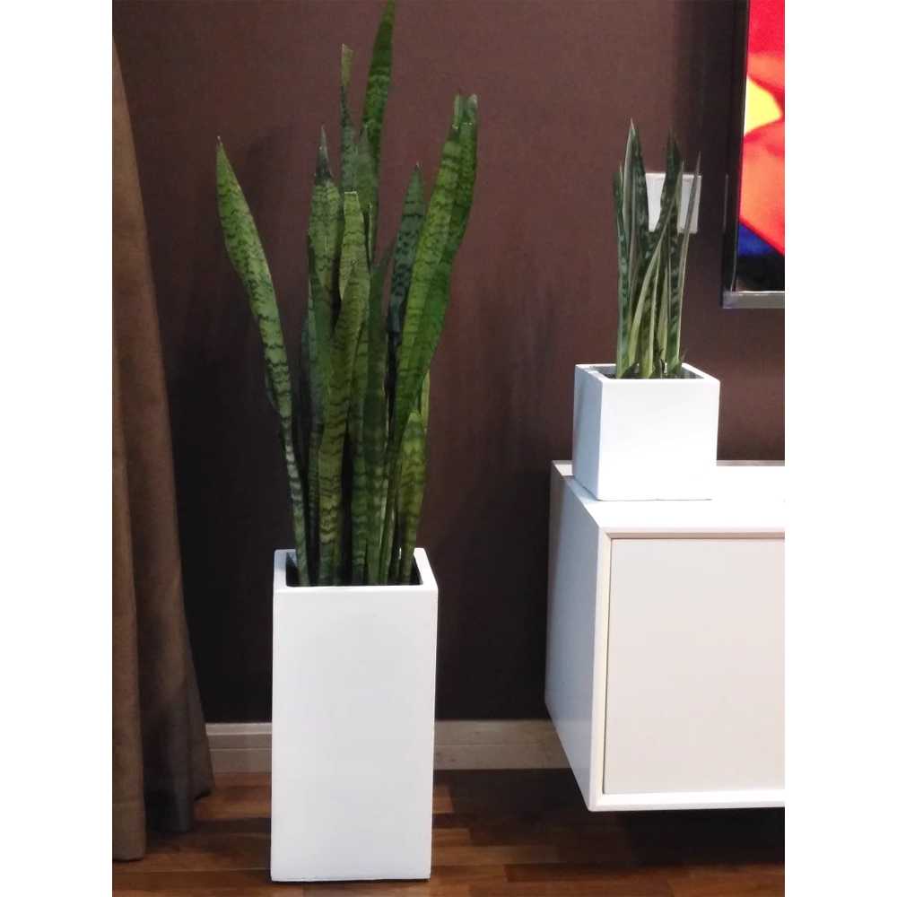 시멘트 FRP화분 사각형 심플 플랜트박스 엔틱 밝은 시멘트화분 1. 회색 시멘트 21x21x40 : 유통물류온