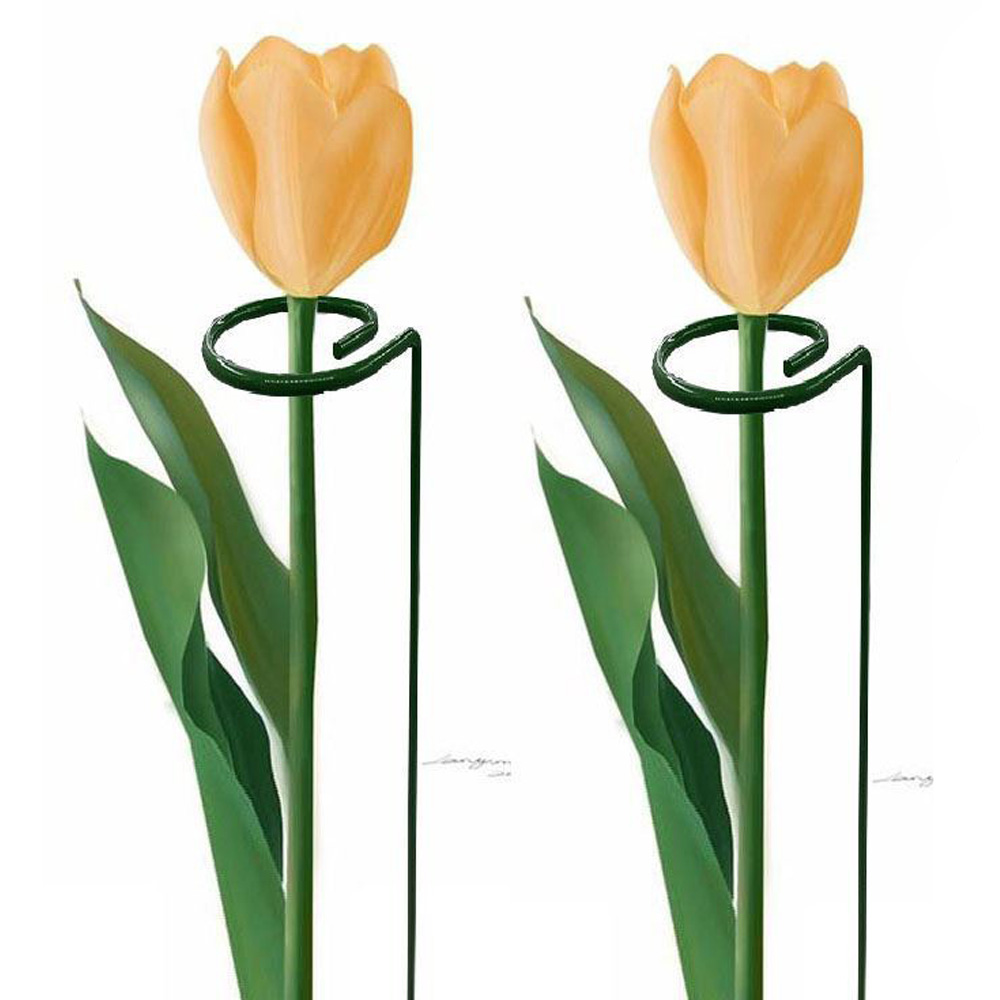 통쇠 화초 식물지지대 화분 꽃 지주대 화분지지대30cm 40cm 50cm 이미지 6