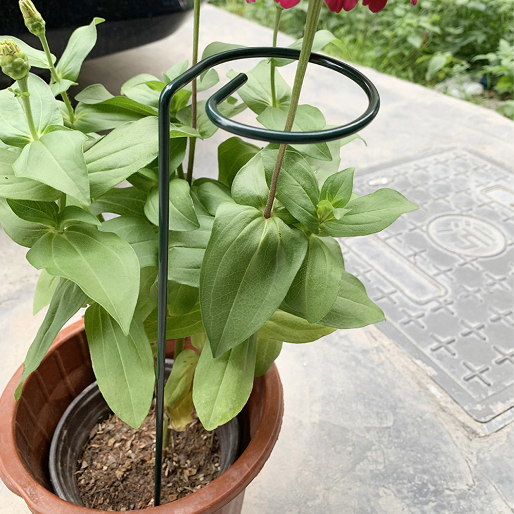 통쇠 화초 식물지지대 화분 꽃 지주대 화분지지대30cm 40cm 50cm - 상품 이미지
