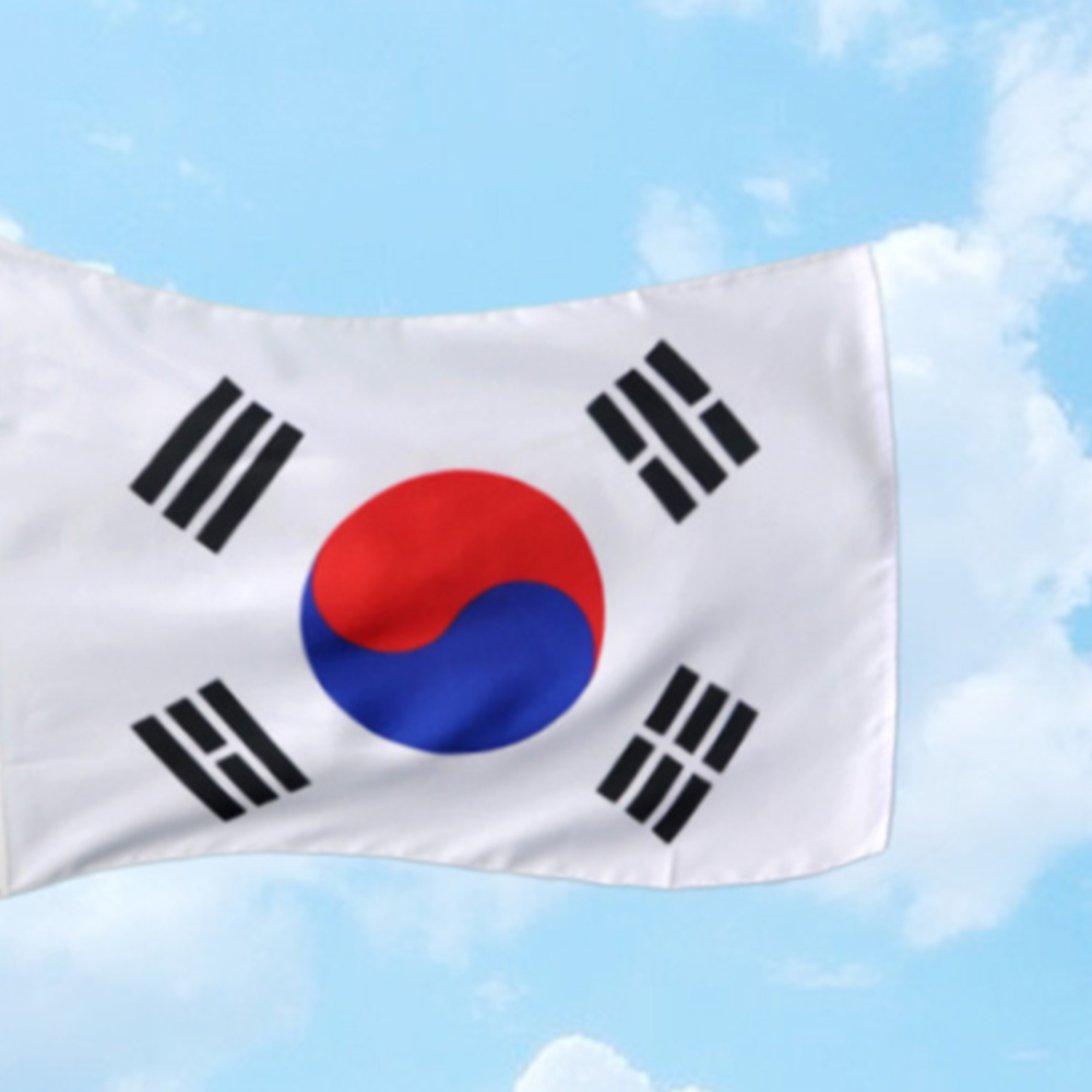 태극기망토 집회 시위 응원 가정용 국산 대형 태극기 7호 - 상세 이미지 5