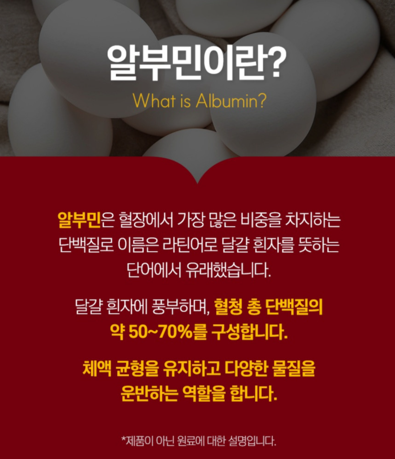 알부민 액티브 골드 플러스 360정 프리미엄 고함량 맥스 난백 영양제 효능 기력관리 - 상세 이미지 3