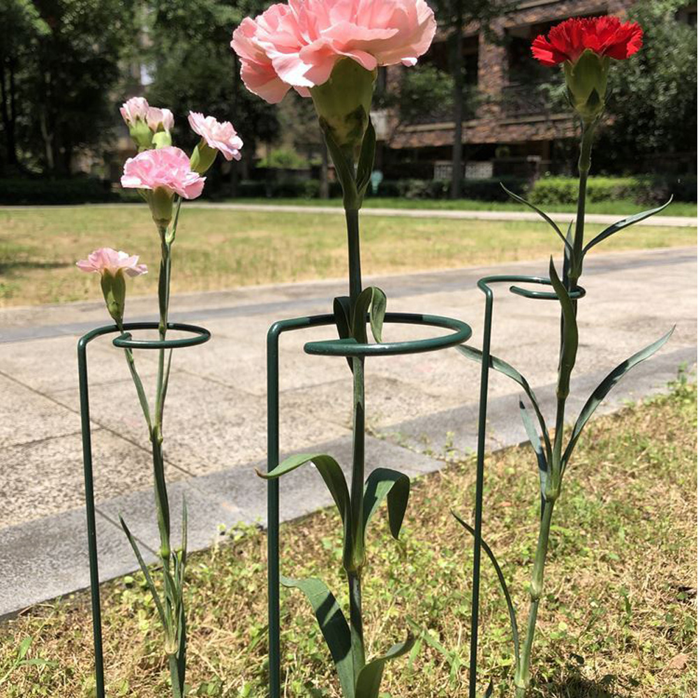 통쇠 화초 식물지지대 화분 꽃 지주대 화분지지대30cm 40cm 50cm - 상세 이미지 2