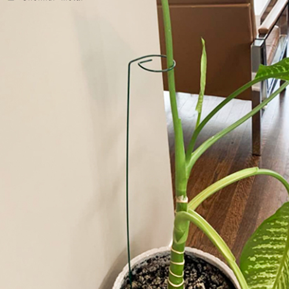 통쇠 화초 식물지지대 화분 꽃 지주대 화분지지대30cm 40cm 50cm - 상세 이미지 3