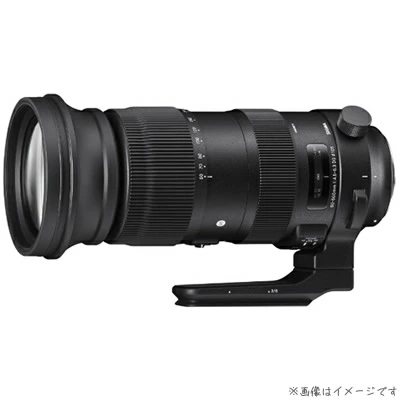 시그마 니콘 F 60-600mm 고정 줌 F5-6.3 DGOS HSM 730955 - 상품 이미지