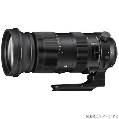 1. 시그마 니콘 F..