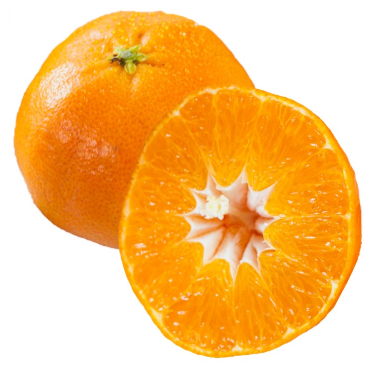 못난이 가정용 레드향 2.5kg : 수마린