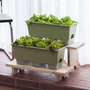 [1+1] 15L 텃밭화분 상추키우기 대파키우기 저면관수 베란다텃밭화분 실사용 후기 | 효과 있을까? - 상품 이미지 4