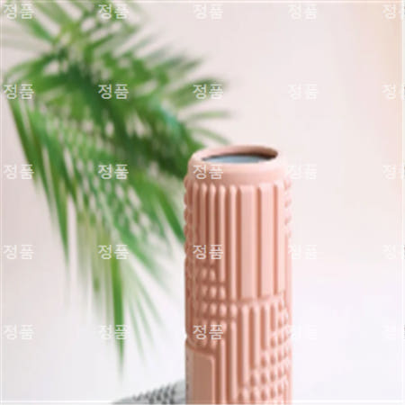 [오엘라] ABKO 오엘라 진동 마사지 폼롤러 OH-FR02