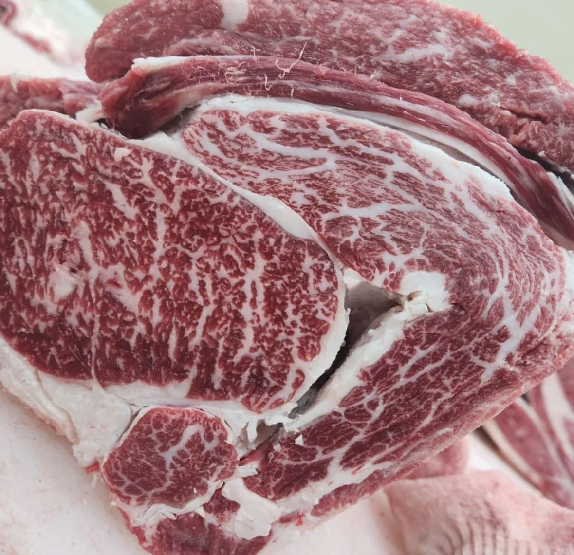 투뿔 한우선물세트 마장동 소고기 구이용 1.2kg - 상세 이미지 2