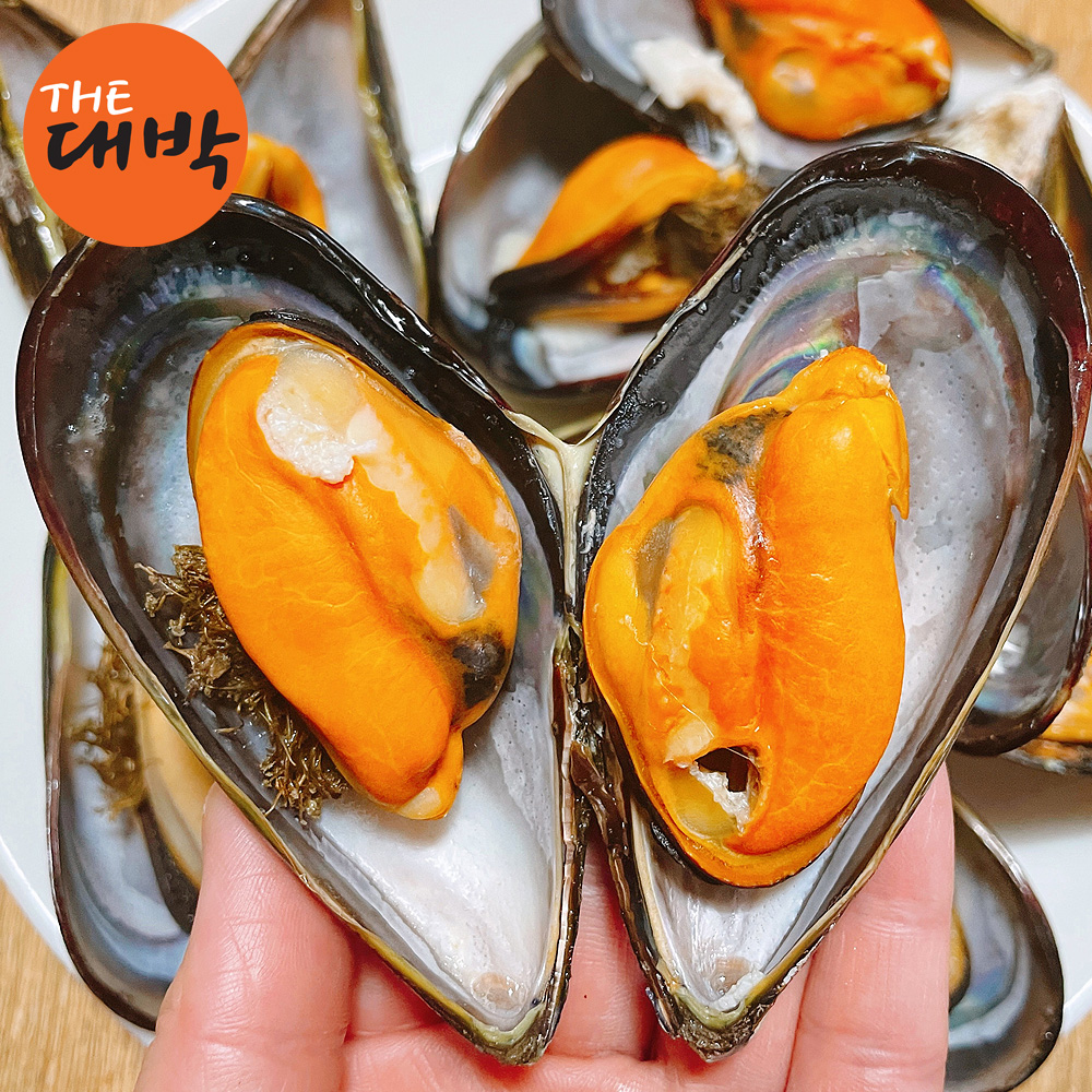 제철 자연산 섭 담치 홍합