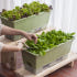 [1+1] 15L 텃밭화분 상추키우기 대파키우기 저면관수 베란다텃밭화분 실사용 후기 | 효과 있을까? 썸네일