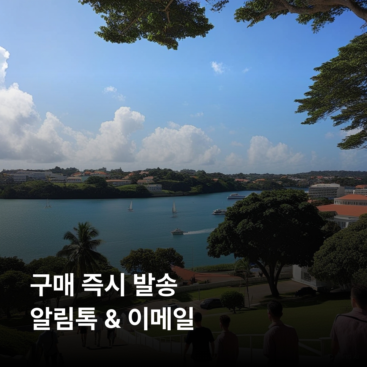 그레나다 로컬망 이심 eSIM Digicel 세인트조지스 구야브 그렌빌 그랜드 안스 비치 언더워터 조각 공원 애닐레 몰 폭포 그랜드 에탕 국립공원 리버 앤트완 럼 증류소 이심통 - 상세 이미지 3