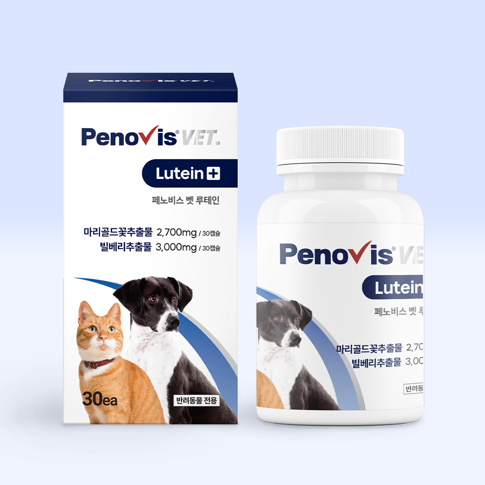페노비스 고양이 강아지 눈영양제 눈물자국 냄새 항산화 루테인