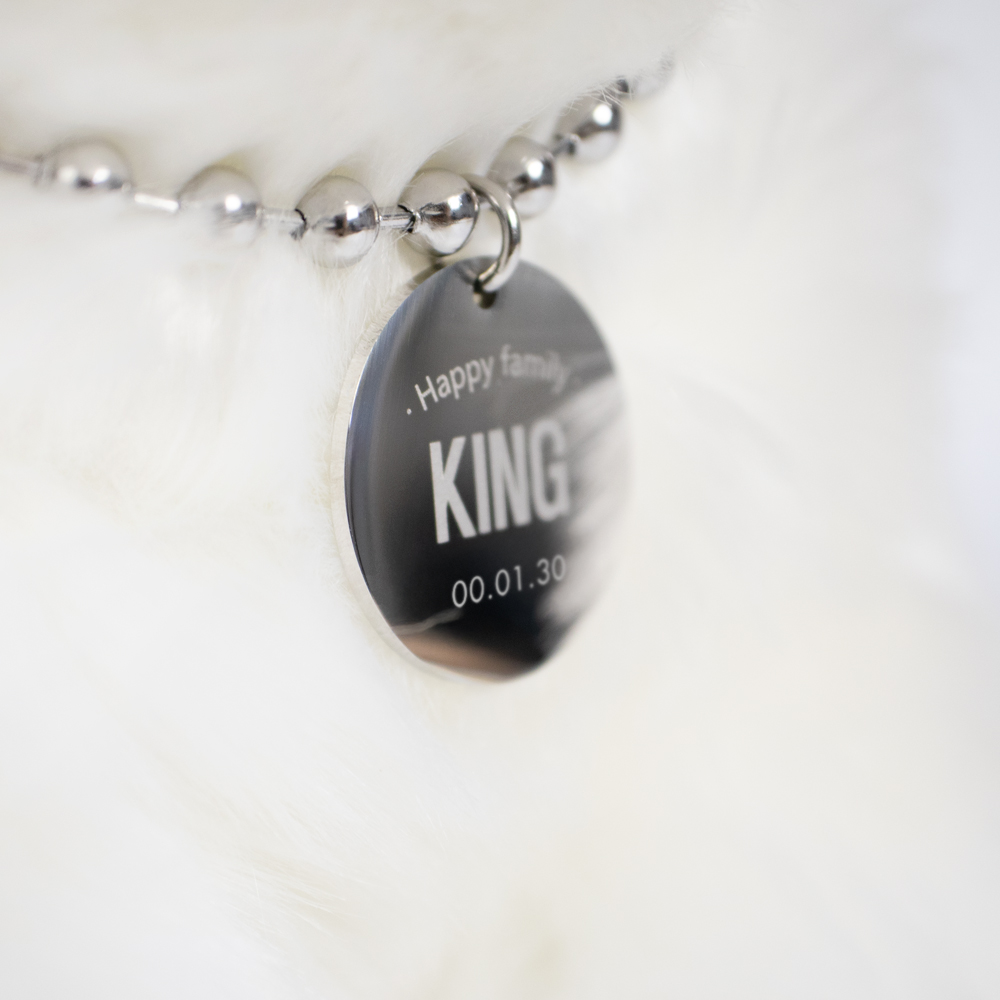 두펫 강아지 고양이 목걸이 QR 코드 인식표 반려견 이름표 써지컬 이미지 3