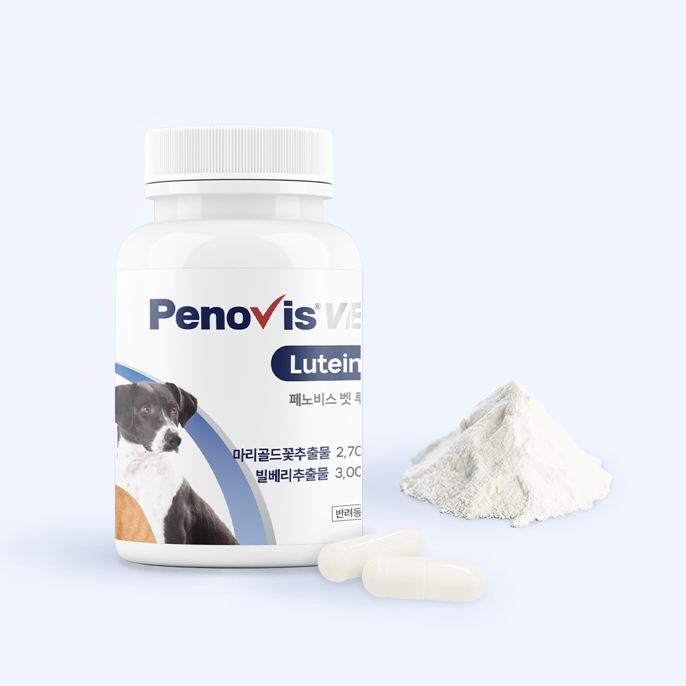 페노비스 고양이 강아지 눈영양제 눈물자국 냄새 항산화 루테인