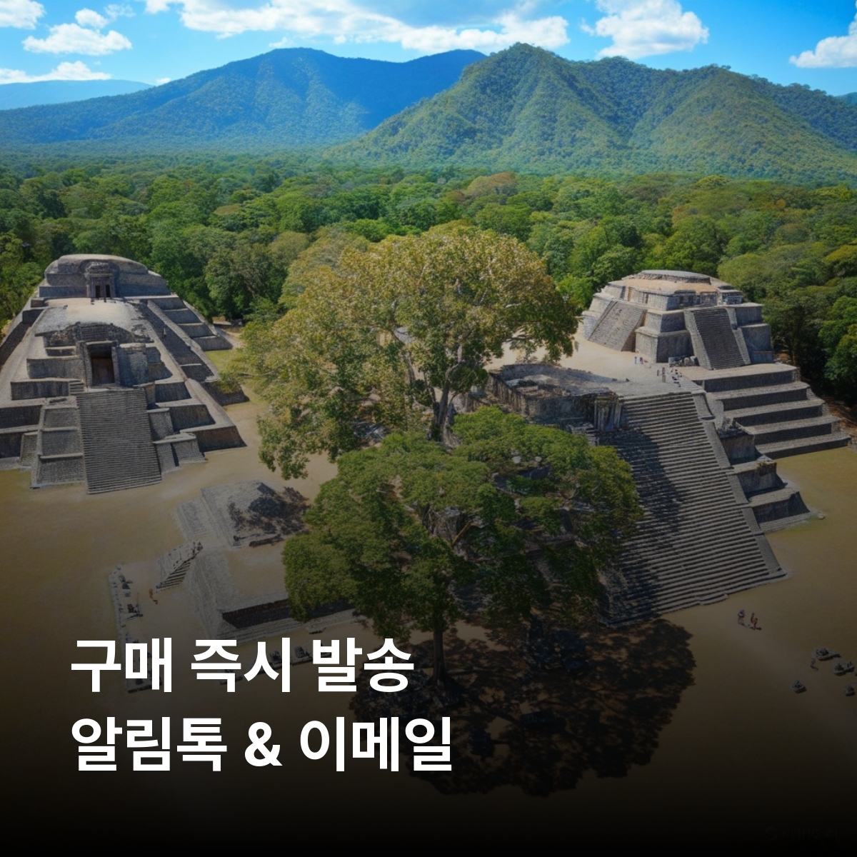 온두라스 로컬망 이심 eSIM Claro 테구시갈파 산 페드로 술라 라 세이바 코판 유적지 로아탄 섬 우틸라 섬 피코 보니토 국립공원 테라레카 호수 이심통 - 상세 이미지 3