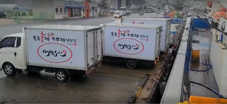 [속초산지직송] 예원수산 생물 자숙 제철홍게 3kg 박달형 라면용 홍게다리살 이미지 3