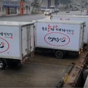 [속초산지직송] 예원수산 생물 자숙 제철홍게 3kg 박달형 라면용 홍게다... 맛있게 먹은 솔직 후기 - 상품 이미지 3