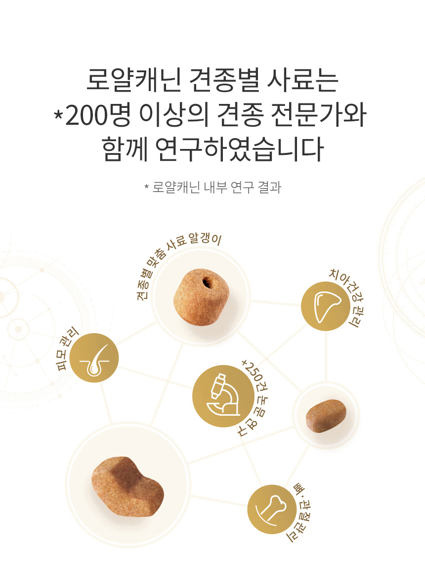 로얄캐닌 견종별 습식 포메라니안, 85g, 12개 - 상세 이미지 5