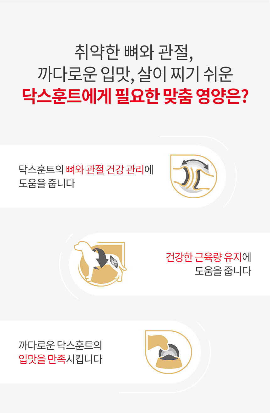 [유통기한 2027.02.19] 로얄캐닌 견종별 습식 닥스훈트, 85g, 12개