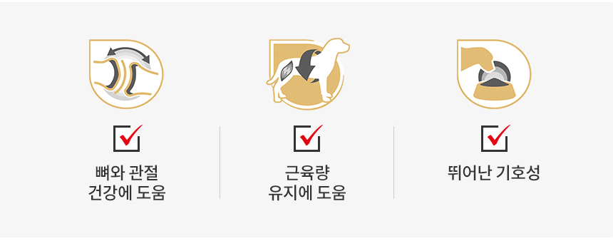 [유통기한 2027.02.19] 로얄캐닌 견종별 습식 닥스훈트, 85g, 12개